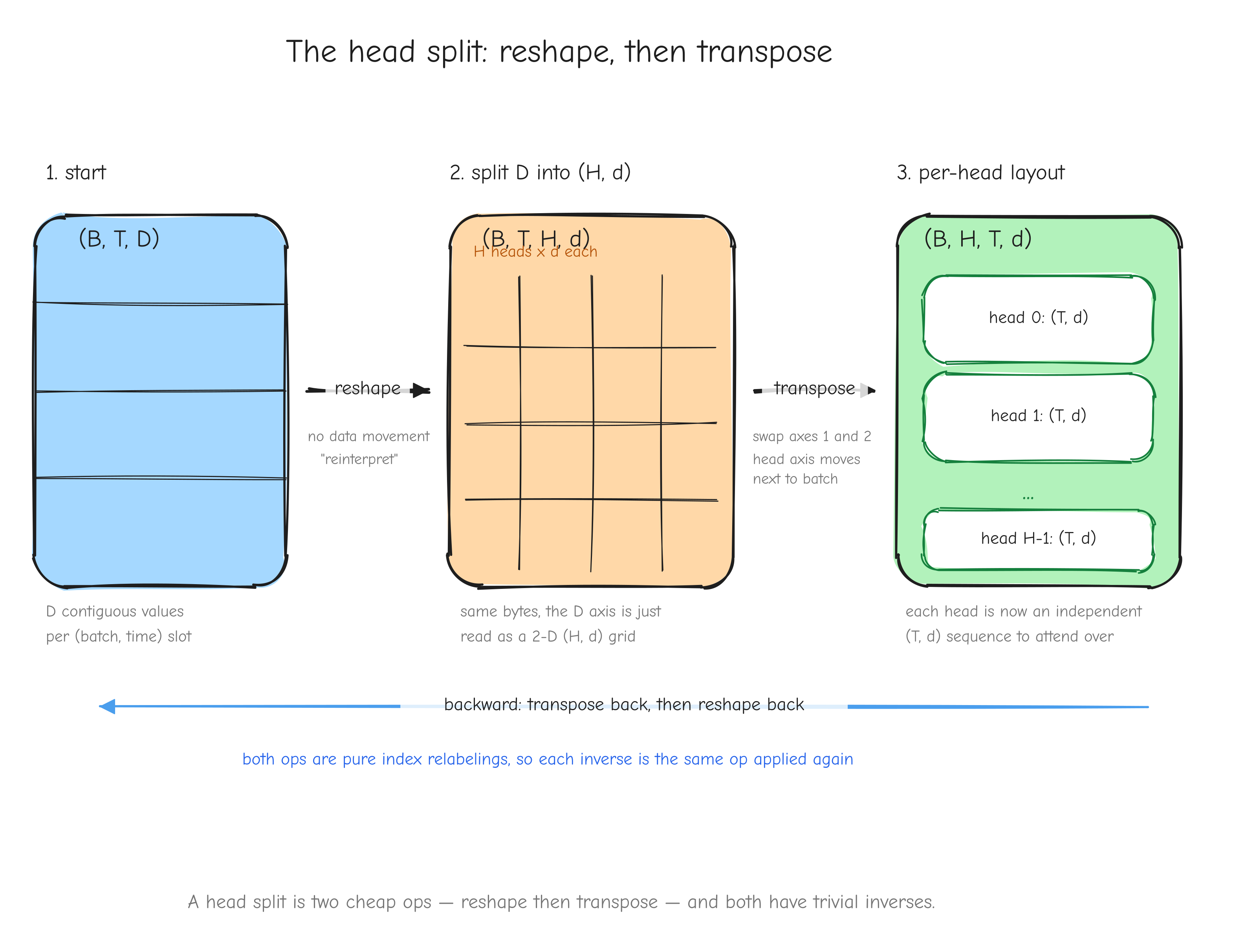 The reshape-and-transpose dance. Draw a `(B, T, D)` block, show the `D` axis splitting into an `(H, d)`