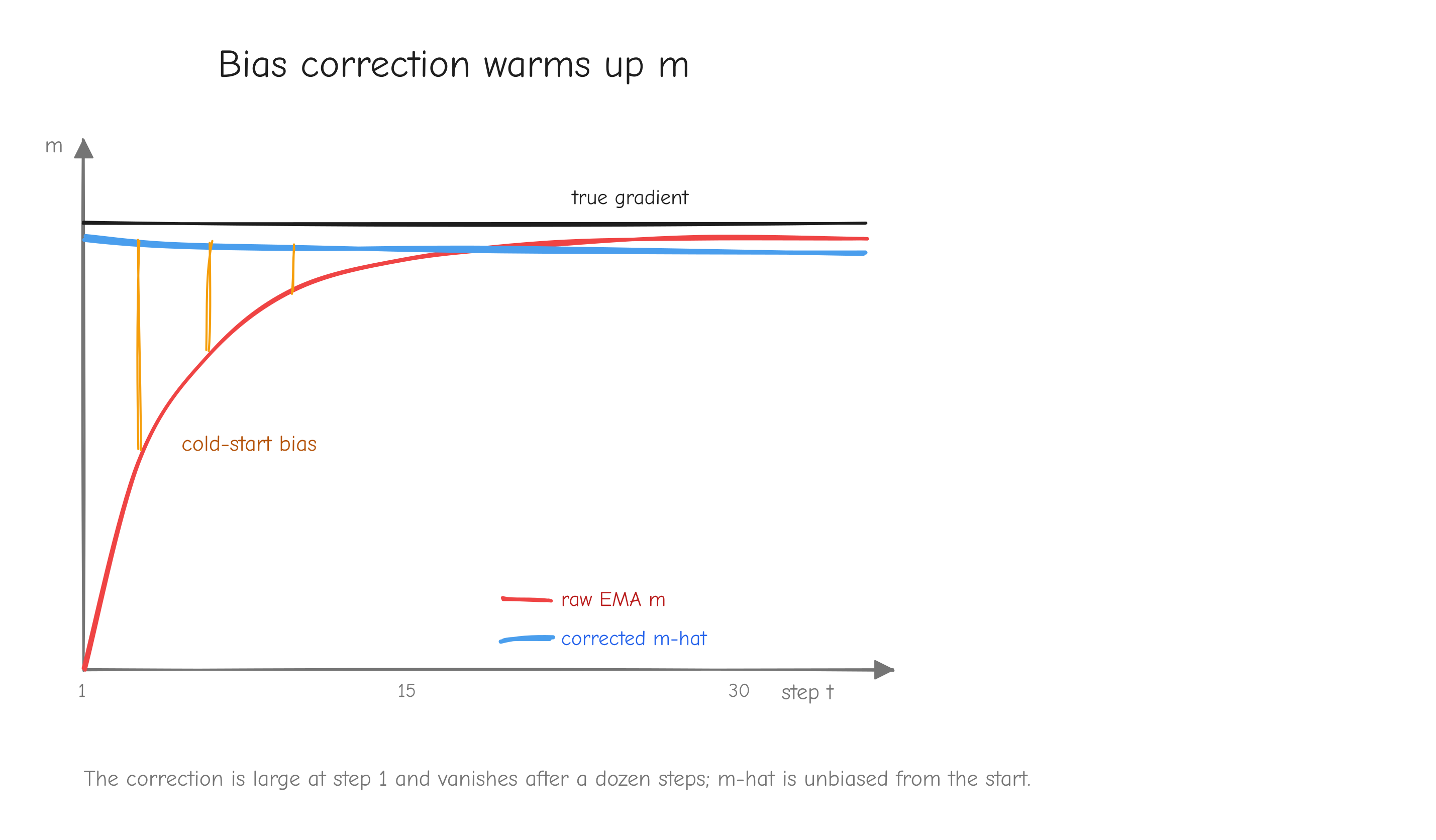 A line plot, x-axis is step t from 1 to 30. One curve is the raw EMA m